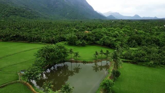 Drone footage of Palakkad Kerala during monsoon season. Fresh greenery, rain-soaked terrain, and fog drifting over the Western Ghats highlight the beauty of the region.
