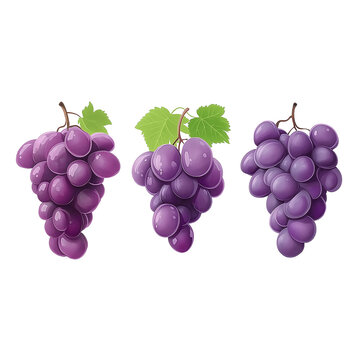 Three purple grapes in different poses, vector illustration on a white background, in a cartoon style, cute style, simple design, 2D flat style, bright colors,