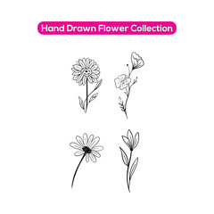 Hand drawn flower collection