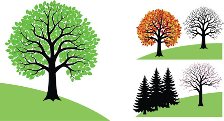 Vibrant trees showcase nature's beauty through the seasons
