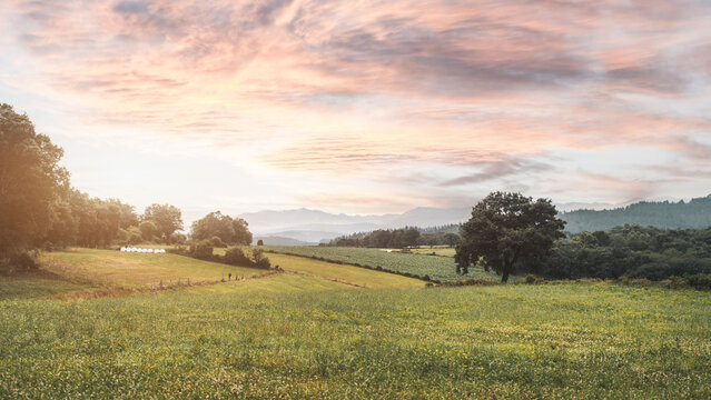 Scenic countryside landscape with green fields, rolling hills, scattered trees and distant mountains under dramatic pink and orange sunset sky creating a peaceful rural atmosphere