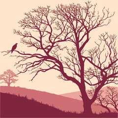 silhouette of a tree in winter