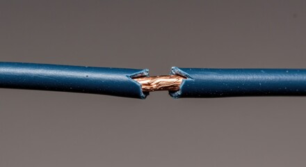 A damaged blue electrical wire with exposed copper conductor