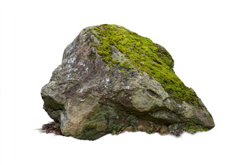 a large rock covered in moss sitting on top of a white surface