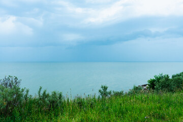 Seashore with dry grass in cloudy summer morning. Selective focus. Shallow depth of field.