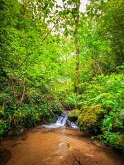 Obraz premium Picture of the Aguzou stream in the mountains of southern France with small waterfalls, rocks, forest and green vegetation. Very close to the small village of Escouloubre in the Pyrenees Mountains 