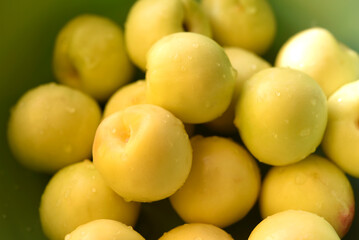 A ripe yellow plum in a green basin. Juicy fruit. Ripe plums in drops of water.