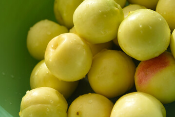 A ripe yellow plum in a green basin. Juicy fruit. Ripe plums in drops of water.