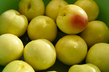 A ripe yellow plum in a green basin. Juicy fruit. Ripe plums in drops of water.