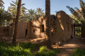 Obraz premium AlUla - Landscape - Oasis (Saudi Arabia)