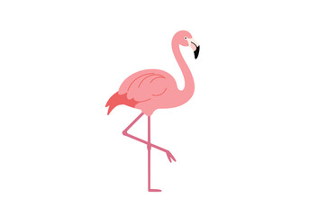 Pink Flamingo Standing on One Leg Simple Illustration.