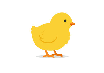 Cute Yellow Chick Cartoon Illustration.