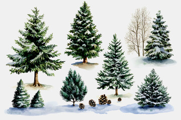 Fototapeta premium Collection of snowy evergreen trees in a winter forest scene