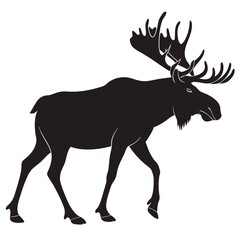 Moose with antlers silhouette