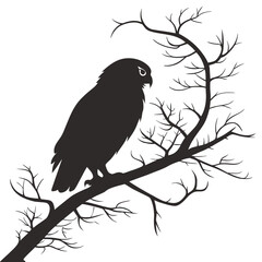 Owl in moonlight silhouette