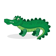 Fototapeta premium Crocodile cartoon on a white background. Vector illustration with a crocodile in cartoon style. A baby crocodile.