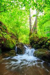 Picture of the Aguzou stream in the mountains of southern France with small waterfalls, rocks, forest and green vegetation. Very close to the small village of Escouloubre in the Pyrenees Mountains
