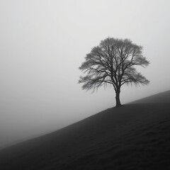 Solitary Tree on Misty Hillside in Black and White &ndash; Dramatic Minimalist Foggy Landscape