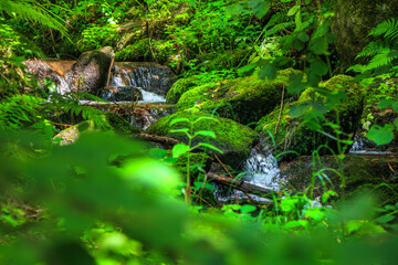 Picture of the Aguzou stream in the mountains of southern France with small waterfalls, rocks, forest and green vegetation. Very close to the small village of Escouloubre in the Pyrenees Mountains
