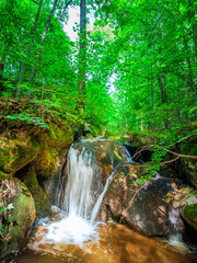 Obraz premium Picture of the Aguzou stream in the mountains of southern France with small waterfalls, rocks, forest and green vegetation. Very close to the small village of Escouloubre in the Pyrenees Mountains 