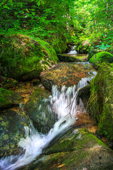 Picture of the Aguzou stream in the mountains of southern France with small waterfalls, rocks, forest and green vegetation. Very close to the small village of Escouloubre in the Pyrenees Mountains
