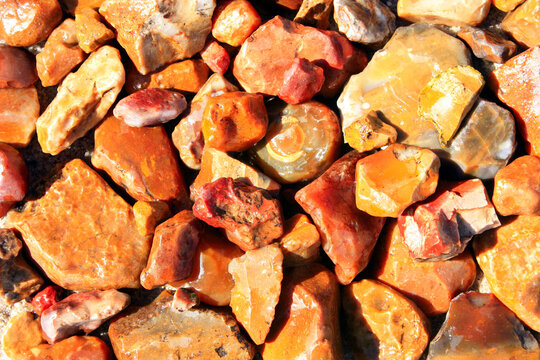Yellow, Orange and Red Flintstones from Lower Lusatia, Germany
