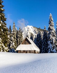 Fototapeta premium Snowy mountain cabin nestled in a wintry forest
