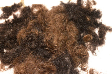 closeup of Haircut waste, can be recycled in various ways rather than ending up in landfills, can be repurposed in hair extensions, wigs and even used for pollution control and soil enrichment