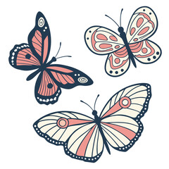 butterfly on white background