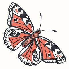 butterfly on white background