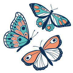 butterfly on white background