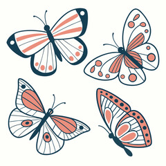 butterfly on white background