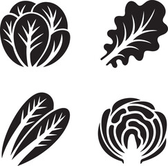 Fototapeta premium Set of Salad Lettuce silhouette vector illustration isolated On Transparent Background