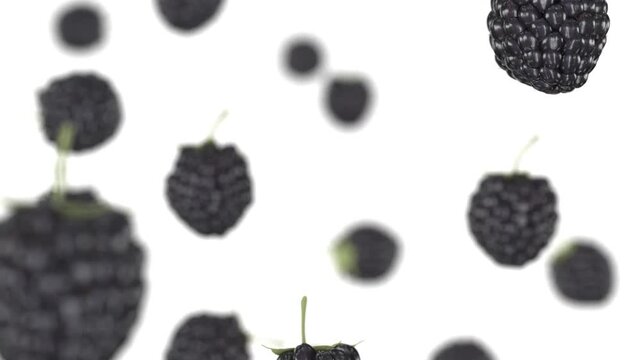 Blackberries falling in slow motion, depth of field