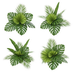 Tropical plant arrangements four overhead views lush greenery exotic foliage decorative botanical elements transparent background