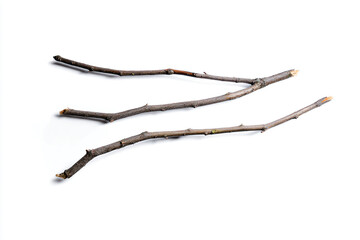 Obraz premium a couple of sticks that are sitting on a table