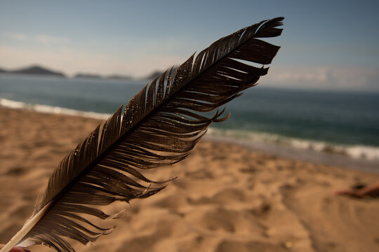 pluma playa