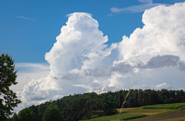 Tall growing cumulus clouds with a small cap at the top, called pileus in meteorology