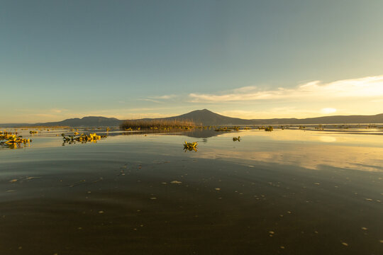 rio, atardecer, laguna, guadalajara, chapala