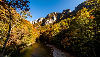 A serene mountain stream winds through a vibrant autumnal forest, bathed in sunlight.