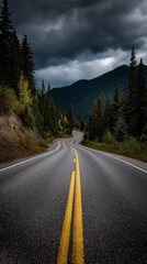 Fototapeta premium Winding road through a forest under a stormy sky in vertical shot