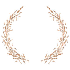 Field plants frame, border, wreath hand drawn by watercolor. Illustration for branding, logo, cards, invitations, banners. Isolated on white. Summer field spicas and straw