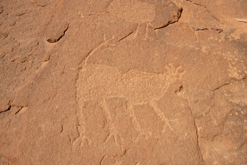 AlUla Archaeology Rock Art (Saudi Arabia)