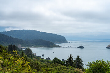 Dramatic Pacific Northwest Coastline with Fog and Rocky Shore