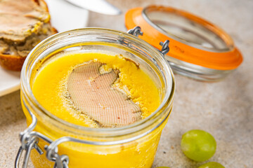 Foie gras goose liver appetizer delicacy fresh delicious gourmet food background on the table rustic food top view copy space