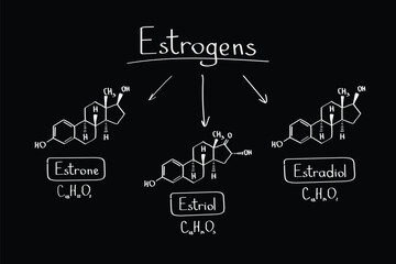 Types of Estrogens &ndash; Estrone, Estradiol, Estriol Chemical Formulas Illustration