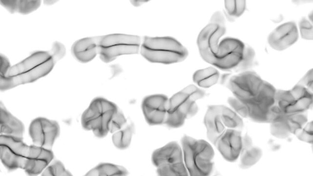 Microscopic simulation of parasitic cell division showing abstract biological structures. Concept for microbiology, infection, science research, medical education, biotechnology.