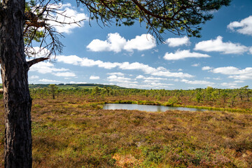 Wandern in der Rh&ouml;n