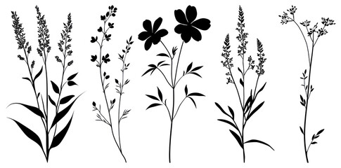 PNG Silhouettes of various wildflowers, element set on transparent background