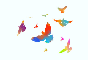 Flying colored birds silhouettes on white background. Vector illustration. isolated bird flying. tattoo design